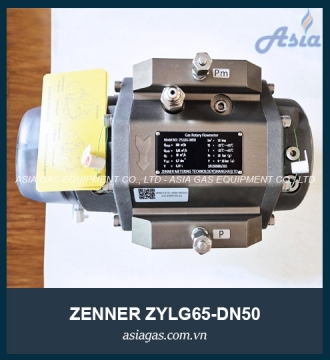 ĐỒNG HỒ LƯU LƯỢNG GAS ZYLG65-DN50