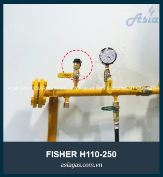 Van an toàn Fisher H110-250