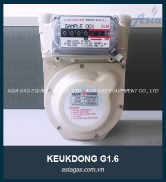 Đồng hồ đo lưu lượng gas thấp áp G1.6