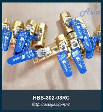 Van bi một chiều HBS-302-08RC