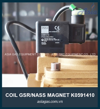 COIL VAN ĐIỆN TỪ PHÒNG NỔ GSR K0591410