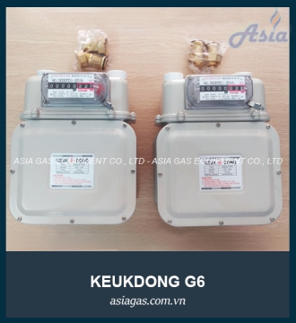 Đồng hồ đo lưu lượng gas G6 Keukdong