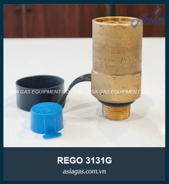 VAN AN TOÀN REGO 3131G 3/4''