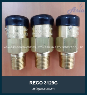 VAN AN TOÀN REGO 3129G 1/2''