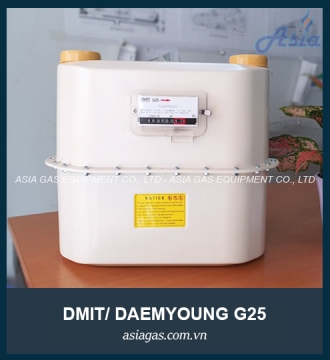 Đồng hồ lưu lượng gas G25 Dmit 40m3/h