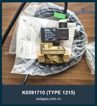 COIL PHÒNG NỔ GSR NASSMAGNET TYPE 1215