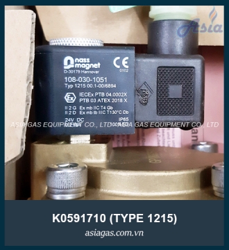 COIL PHÒNG NỔ GSR NASSMAGNET TYPE 1215