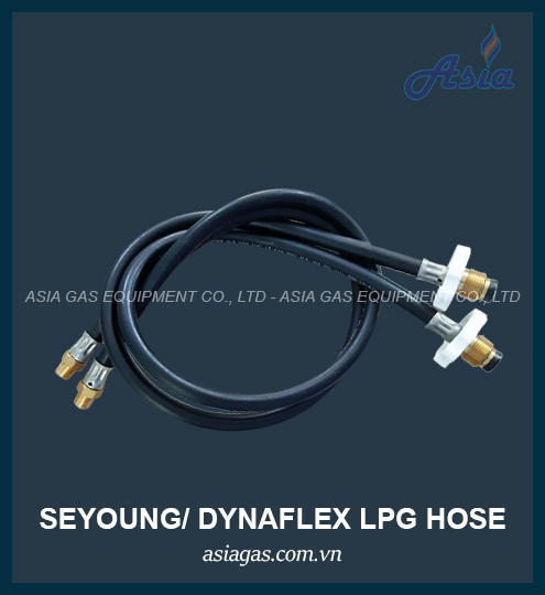 DÂY BÌNH GAS HƠI HÀN QUỐC SEYOUNG 