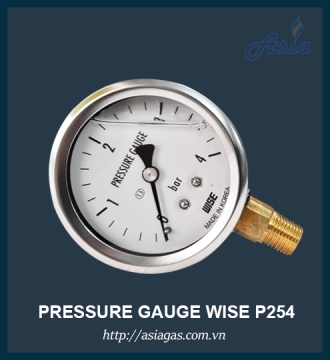 Đồng hồ đo áp suất gas Wise P254
