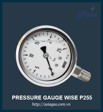 Đồng hồ đo áp suất gas Wise P255 