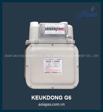 Đồng hồ đo lưu lượng gas G6 Keukdong