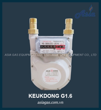 Đồng hồ đo lưu lượng gas thấp áp G1.6