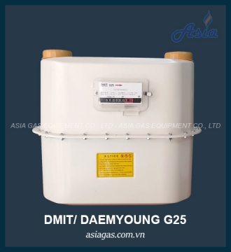 Đồng hồ lưu lượng gas G25 Dmit 40m3/h