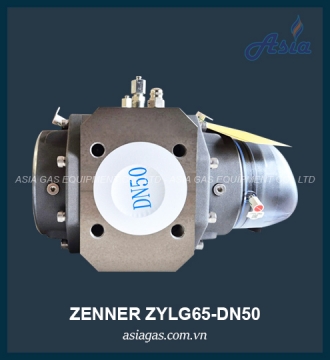 ĐỒNG HỒ LƯU LƯỢNG GAS ZYLG65-DN50