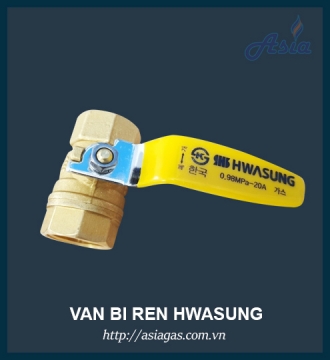 Van bi ren Hwasung (HS) 10K