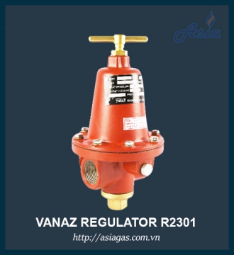 Van điều áp cấp 1 Vanaz 100kg/h R2301